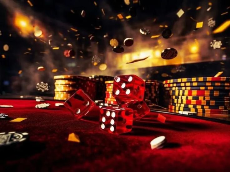 555fb bet