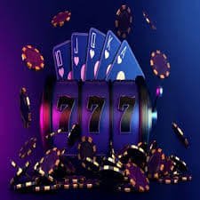 555fb bet