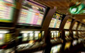 555fb bet